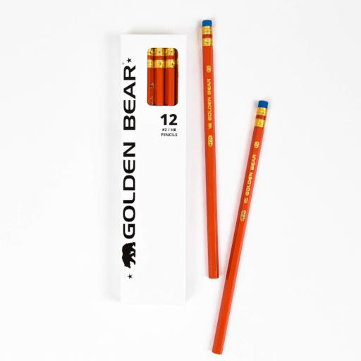 Palomino Golden Bear HB